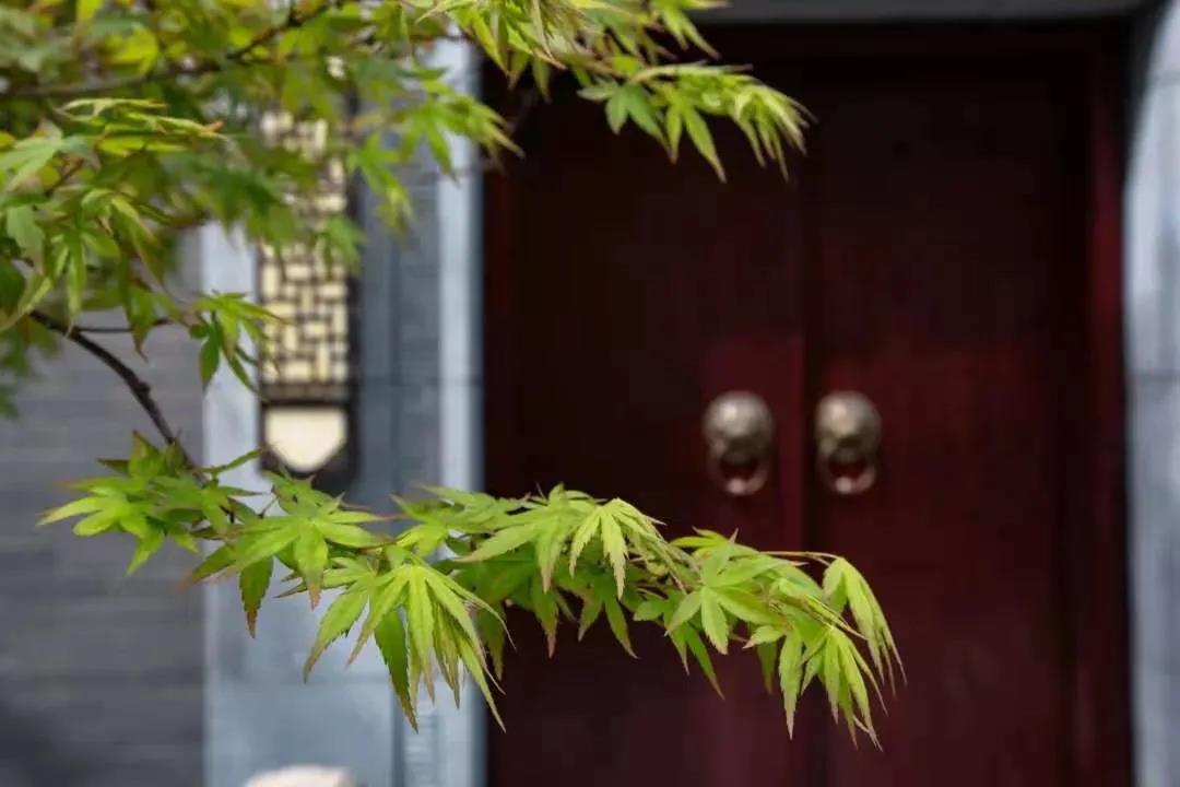 【極致簡約 格調(diào)非凡】簡約而不簡單
